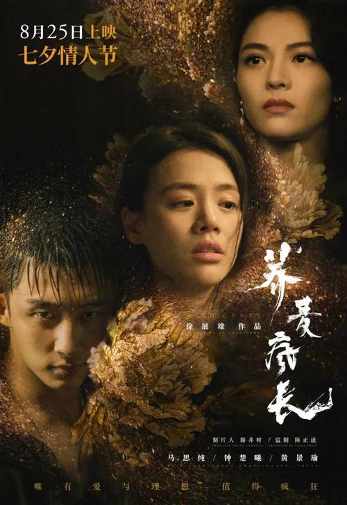 代办新斯科舍省驾驶证